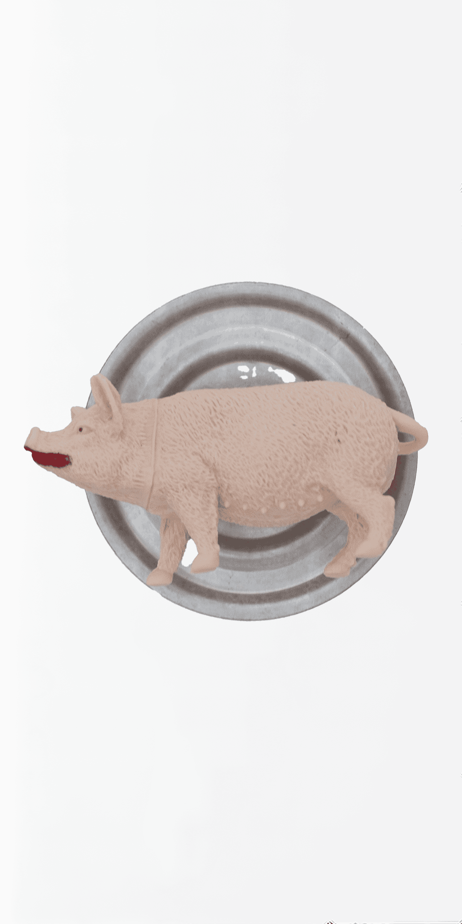 Lipstick on a pig.png