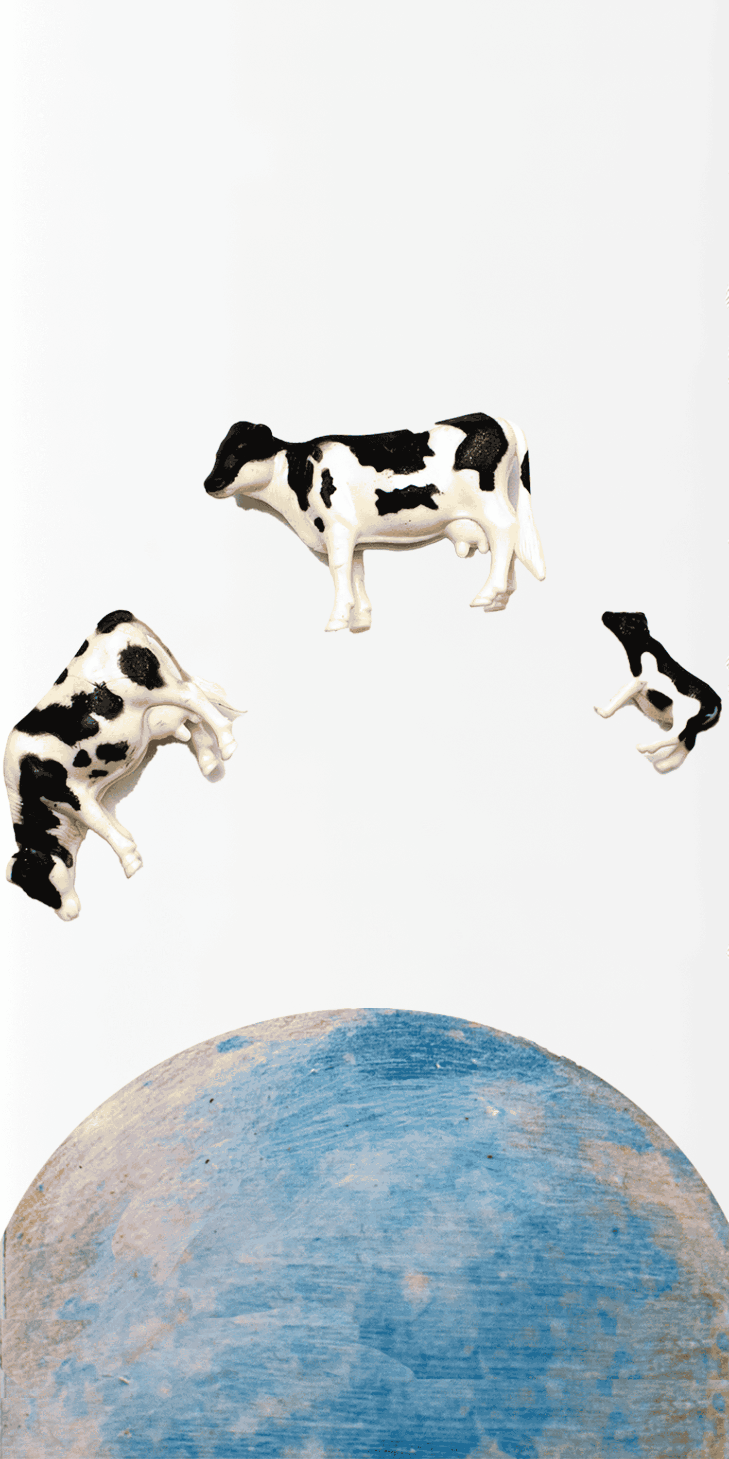 Cows Jumping over the Moon.png