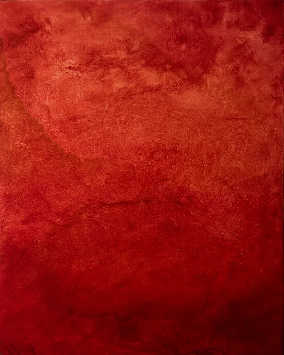 Portrait of A Dying Tulip