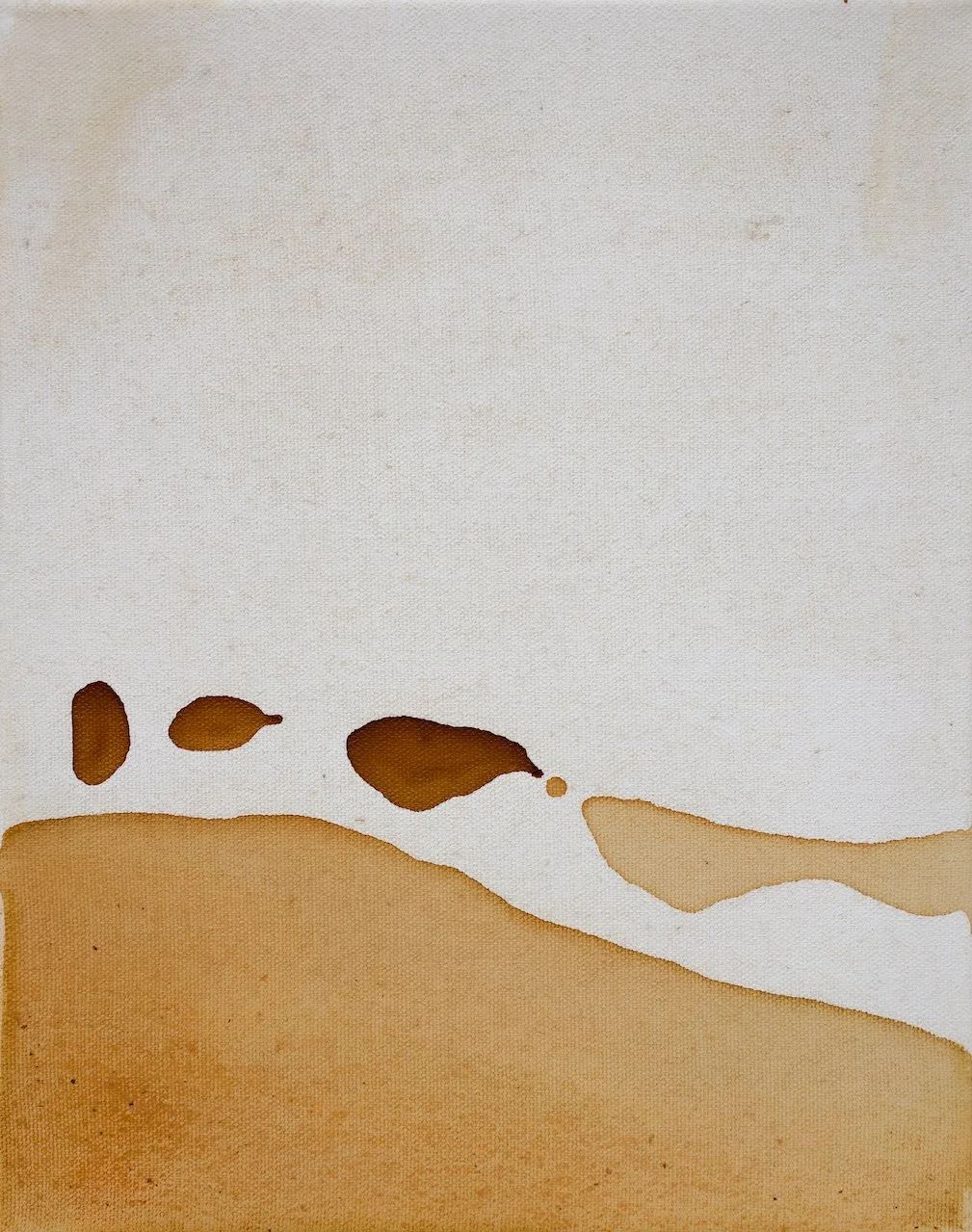 Study of a Dying Tulip .01