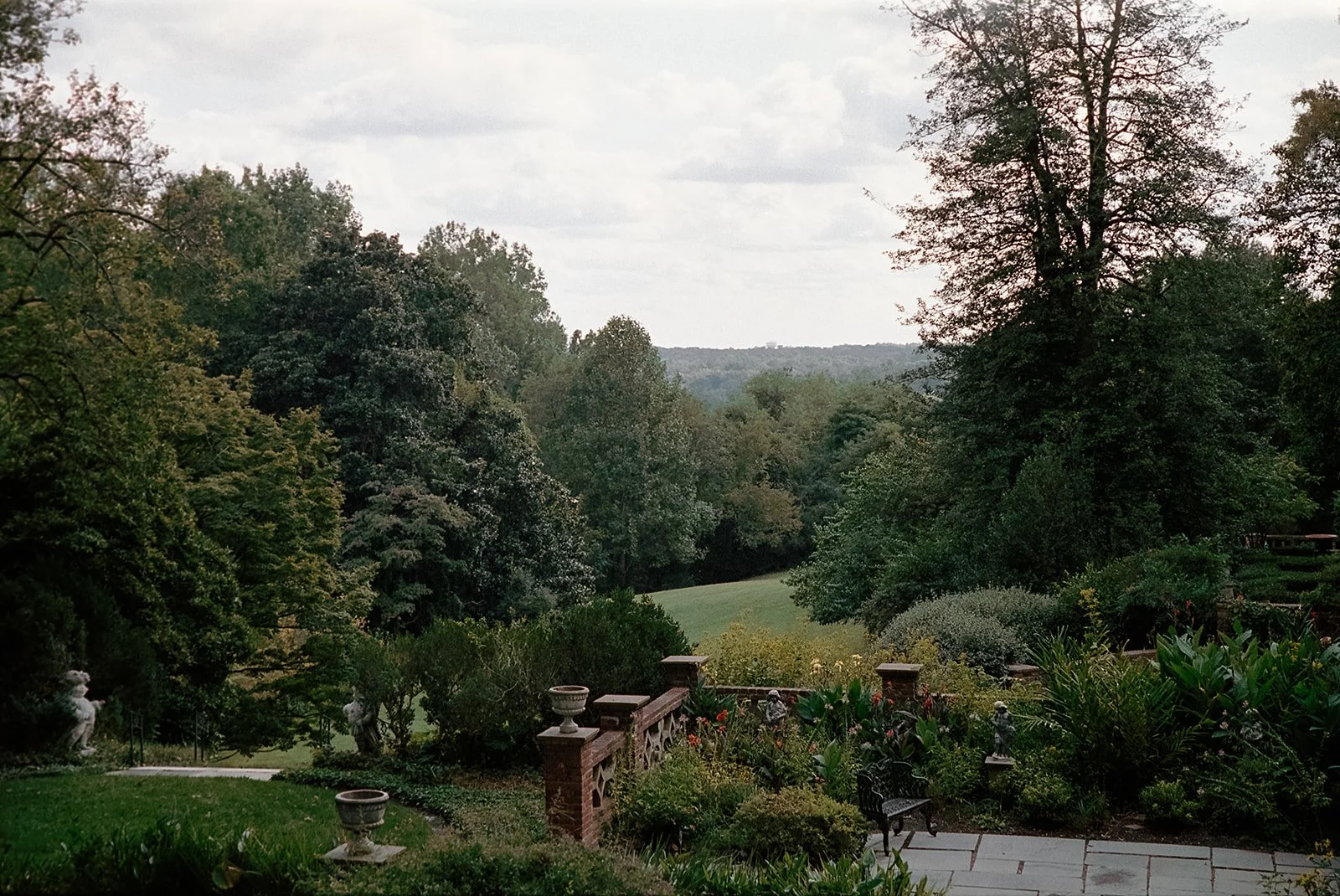 liv&landon-wedding-virginiahouse-2024-film-peytoncurry-277.jpg