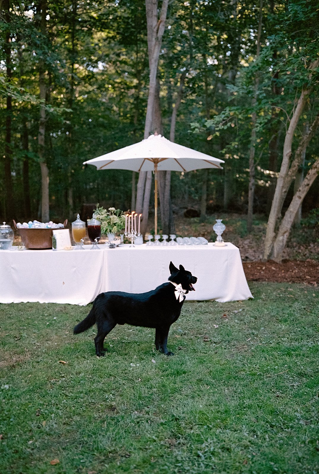lauren&stu-wedding-2025-peytoncurry-63.jpg