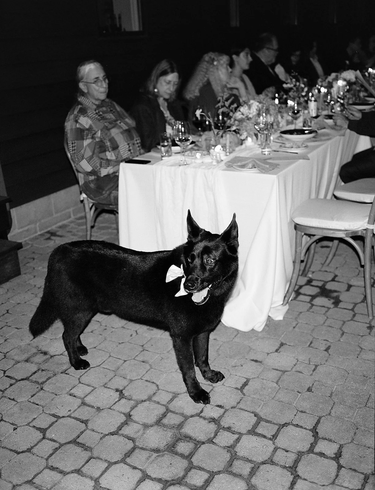 lauren&stu-wedding-2025-peytoncurry-262.jpg