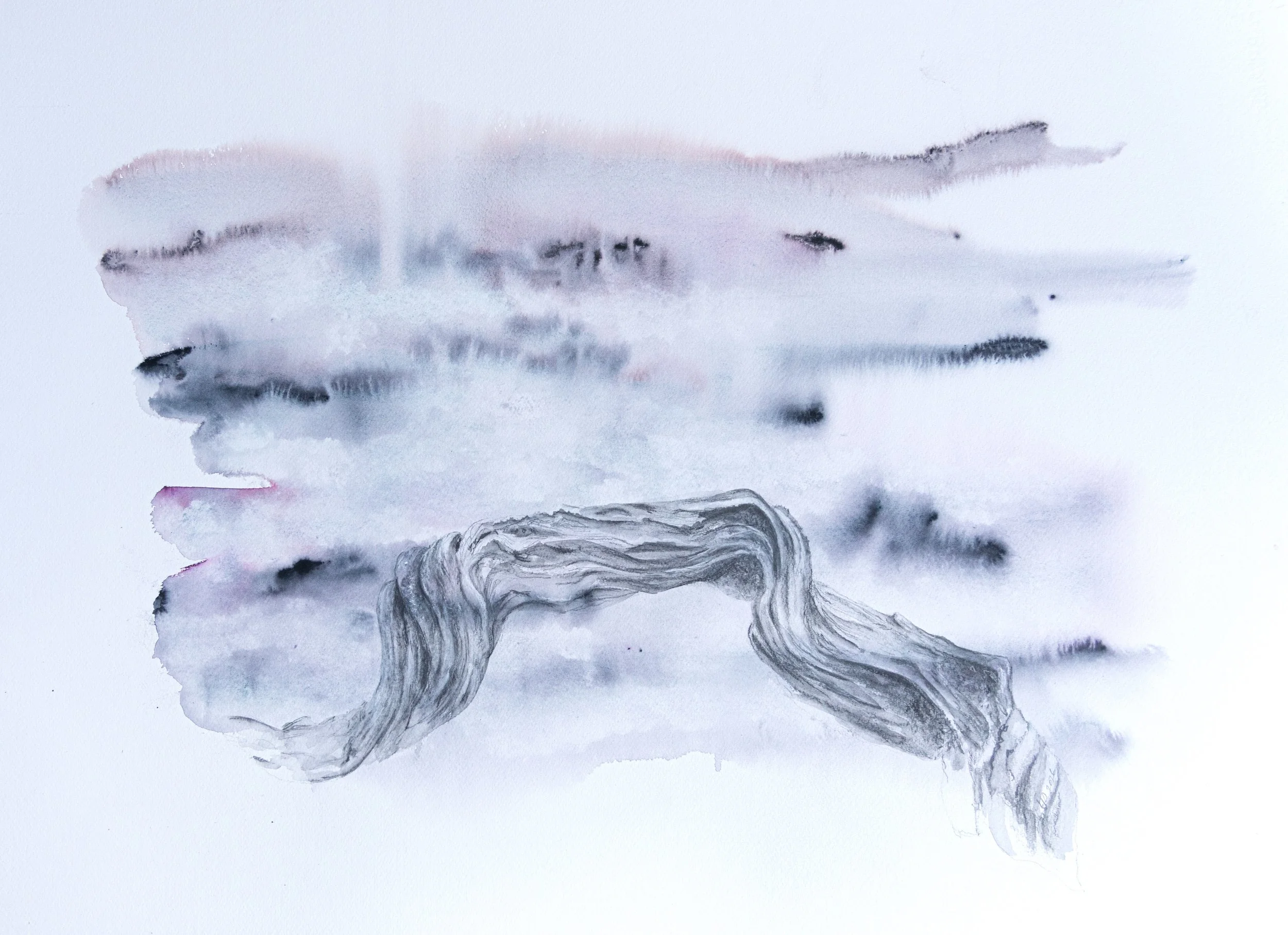  22×30 inch watercolor with graphite 