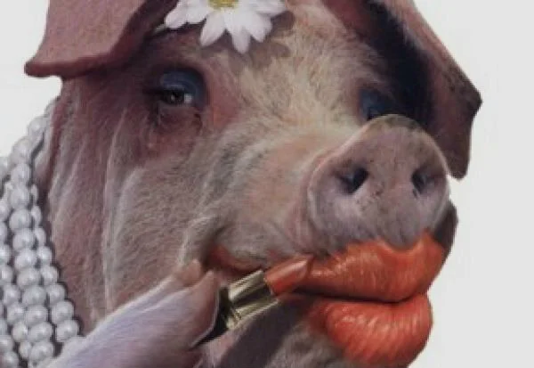 Lipstick on a Pig