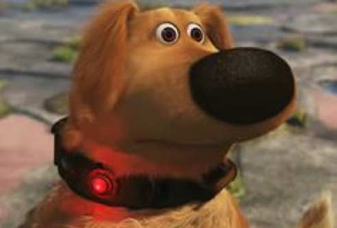 Squirrel!