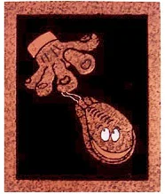 Catch a Click copy2.jpg