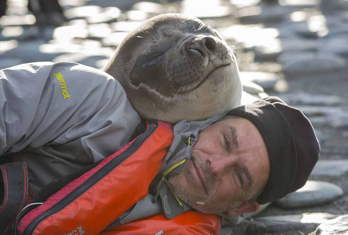 Am Strand Als ich liegend aus tiefer Position Pinguine fotografierte, kuschelte sich dieses Seelefantenbaby an mich heran. Südgeorgien Dezember 2018