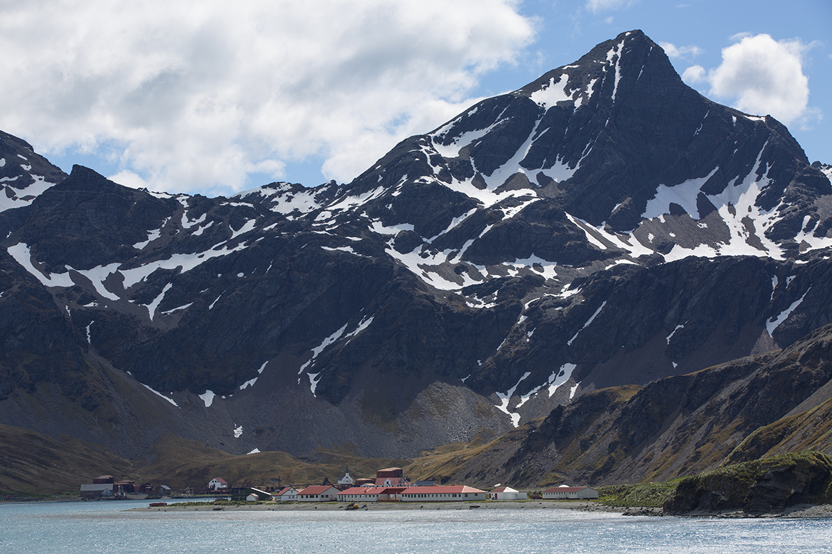 Grytviken Südgeorgien