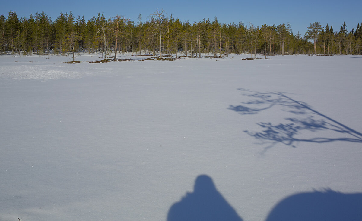  Ich mit dem Tarnzelt im Vordergrund, die Tribünen der Hennen im Hintergrund. Die Arena ist durch die Kampfspuren im Schnee gut zu sehen. In manchen Arealen balzen bis zu 30 Birkhühner.  canon 5 d III  22/ 35 mm  1/ 80 sec  IOS 100  15.04.2021  9:07 