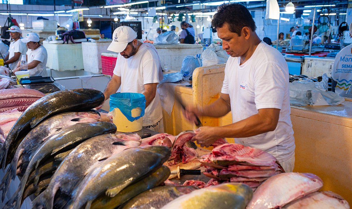  Fischmarkt in Manaus 