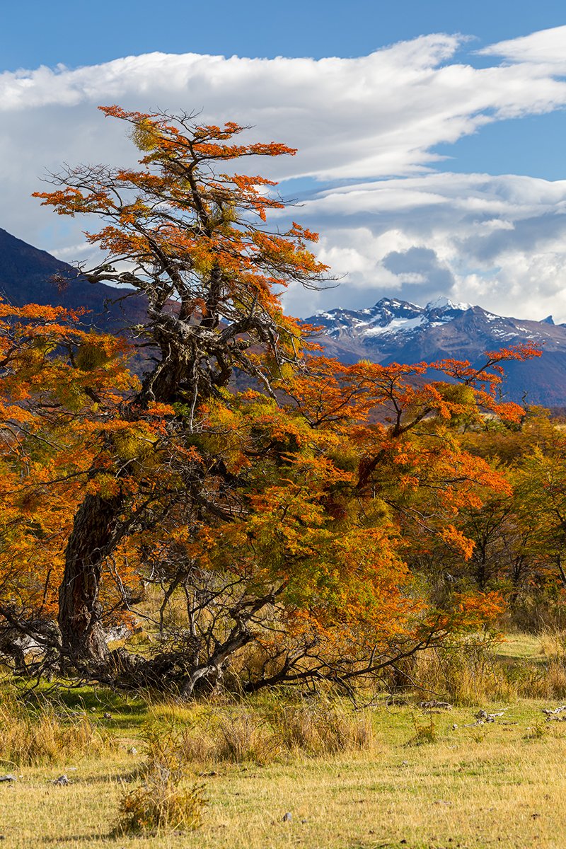  Los Glaciares  Patagonien  Argentinien  20.04.2023 