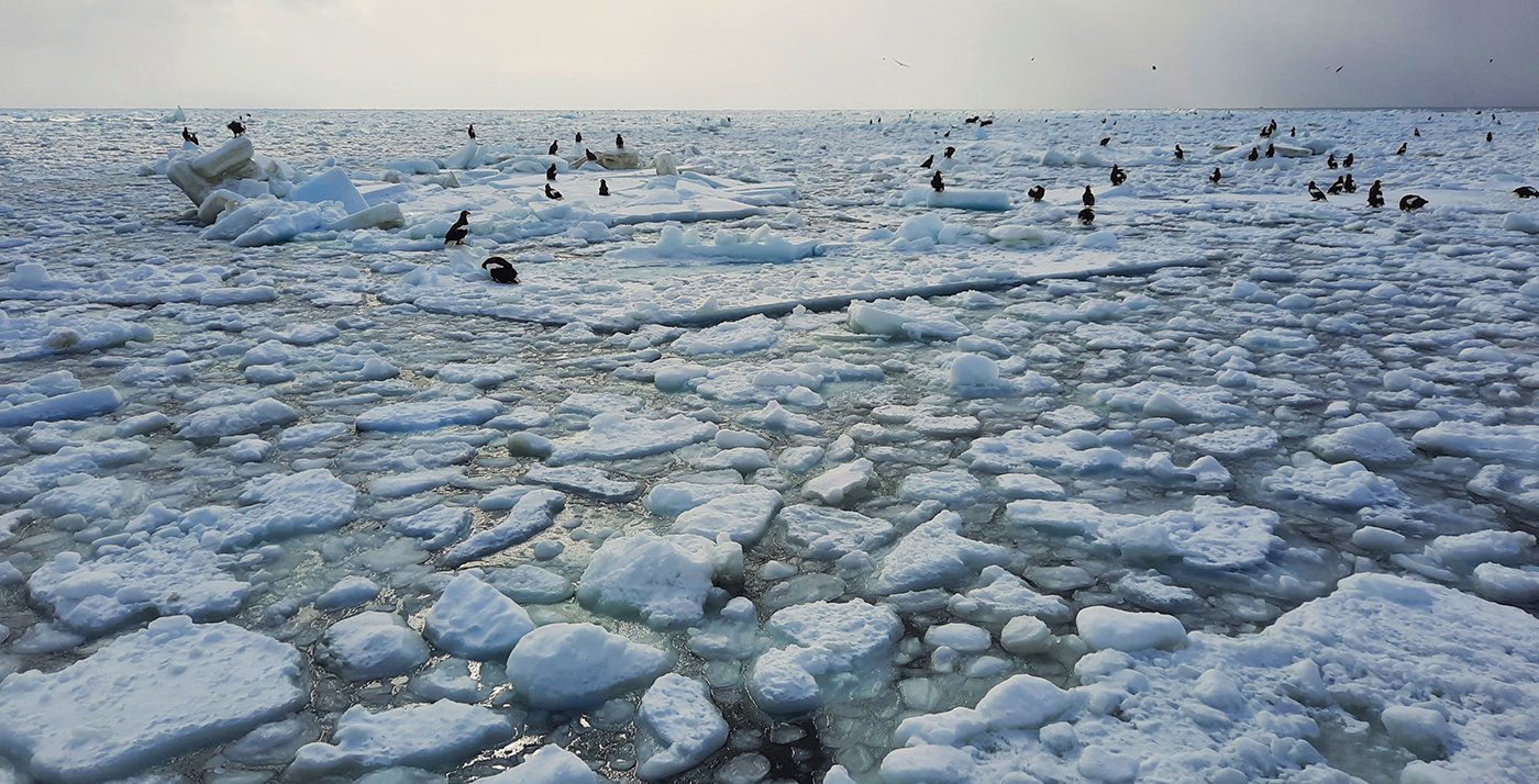  Ochotskisches Meer  Hokkaido  Japan  Februar 2024 