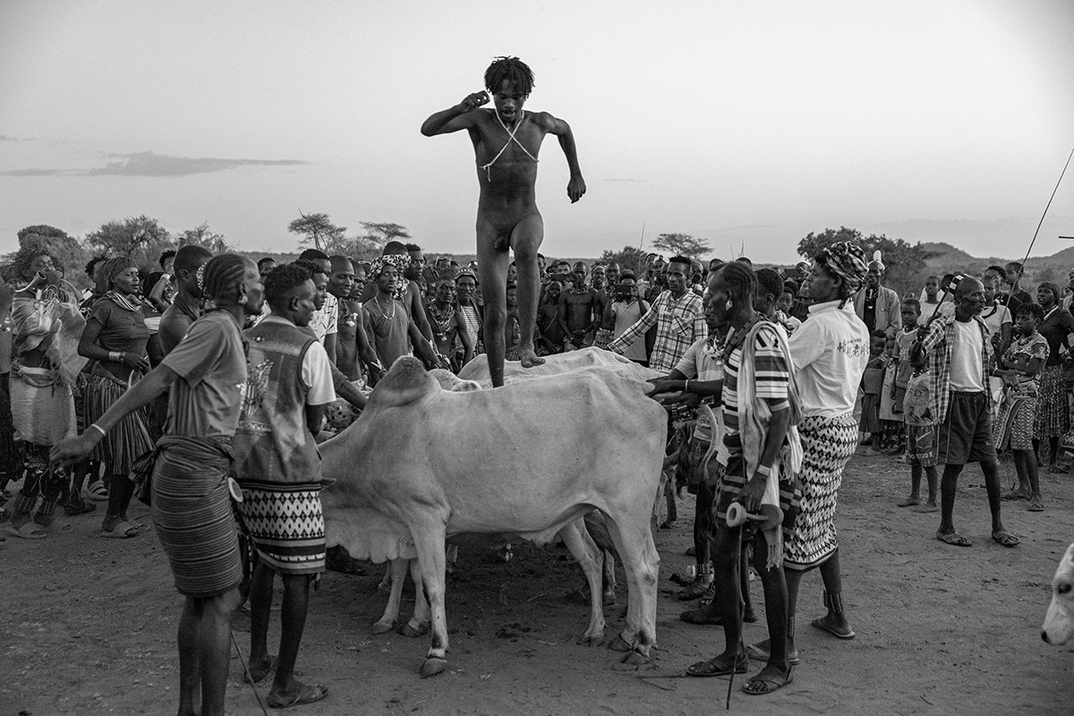  Das Hauptereignis, der Sprung über die Bullen, findet bei Sonnenuntergang statt. 