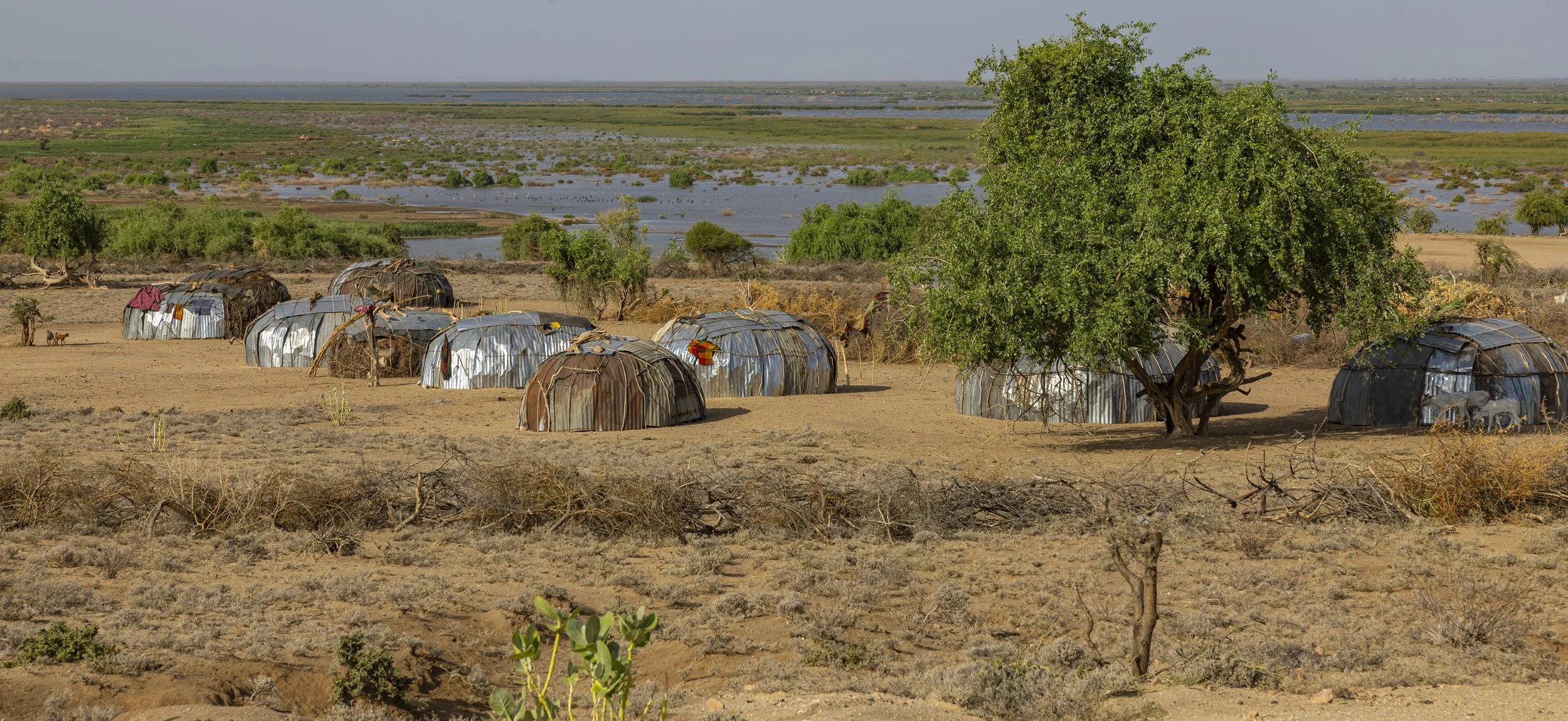   Daasanach Dorf im Omo Tal  