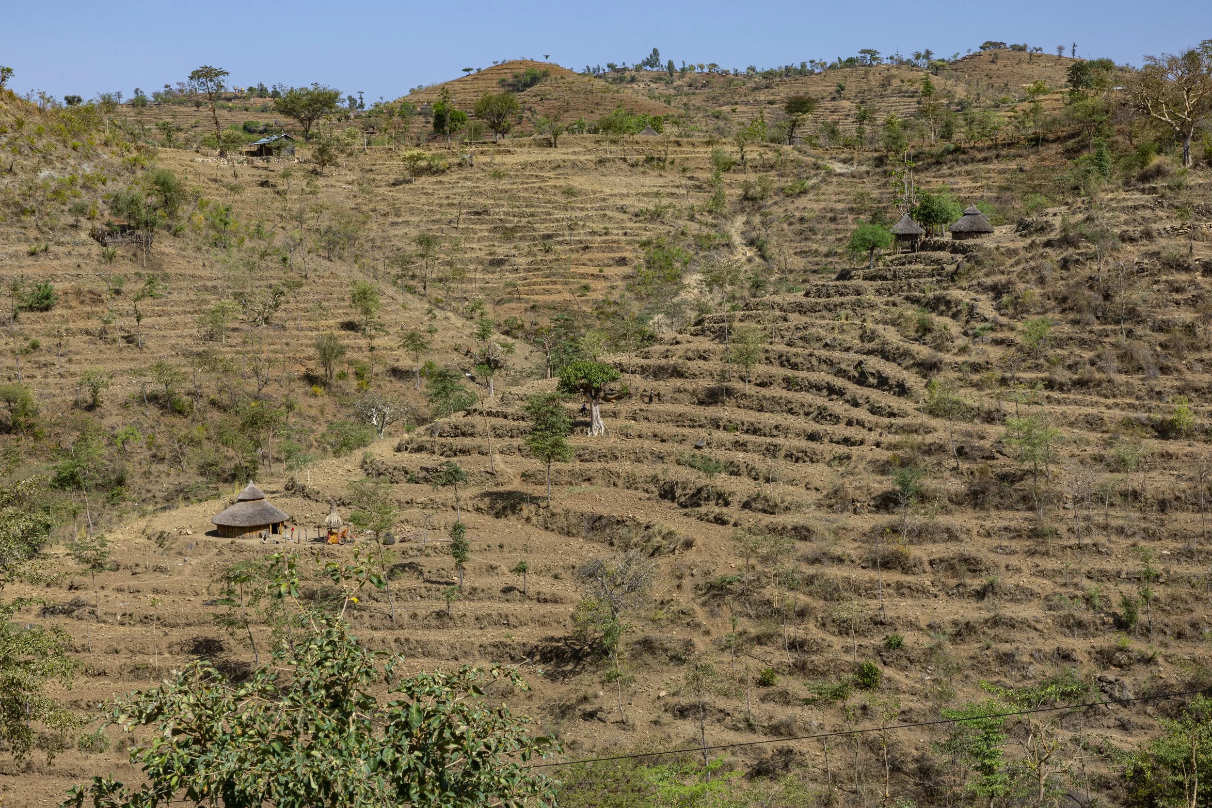  Bekannt sind die Konso für die Terrassenkulturen. 