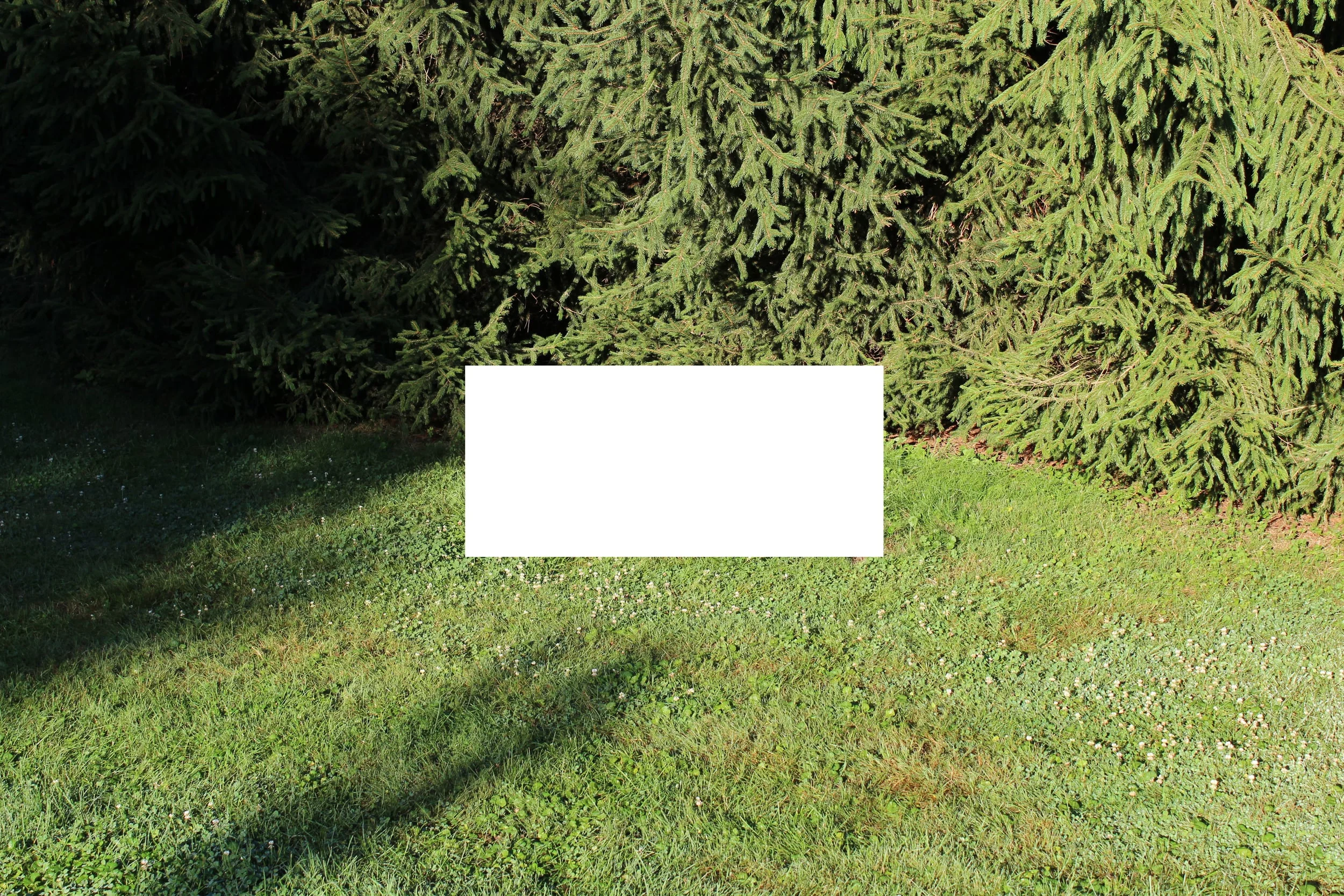 Object1_Far.jpg