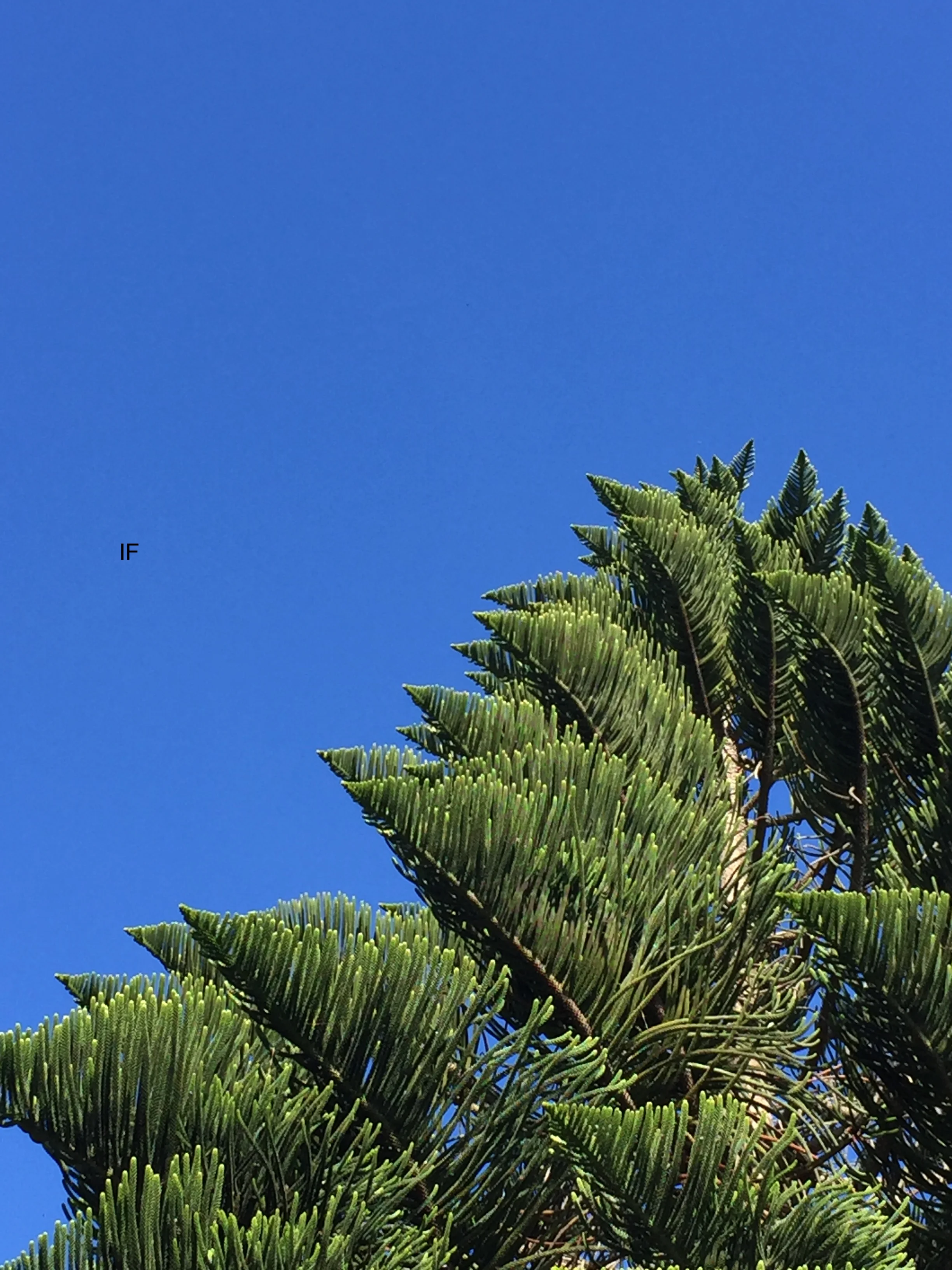 IF is an EP that I recorded and then released in January of 2018.