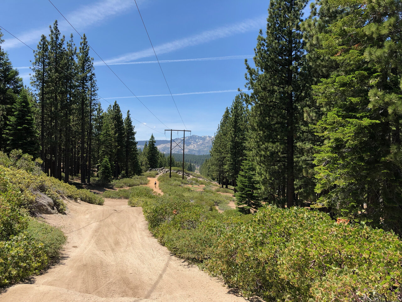 Powerline - 102.jpg