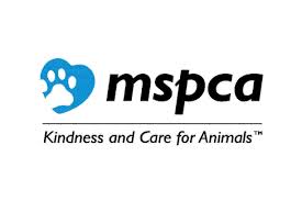 When it was in Edgartown, Ben volunteered walking dogs and cleaning kennels at the MSPCA.