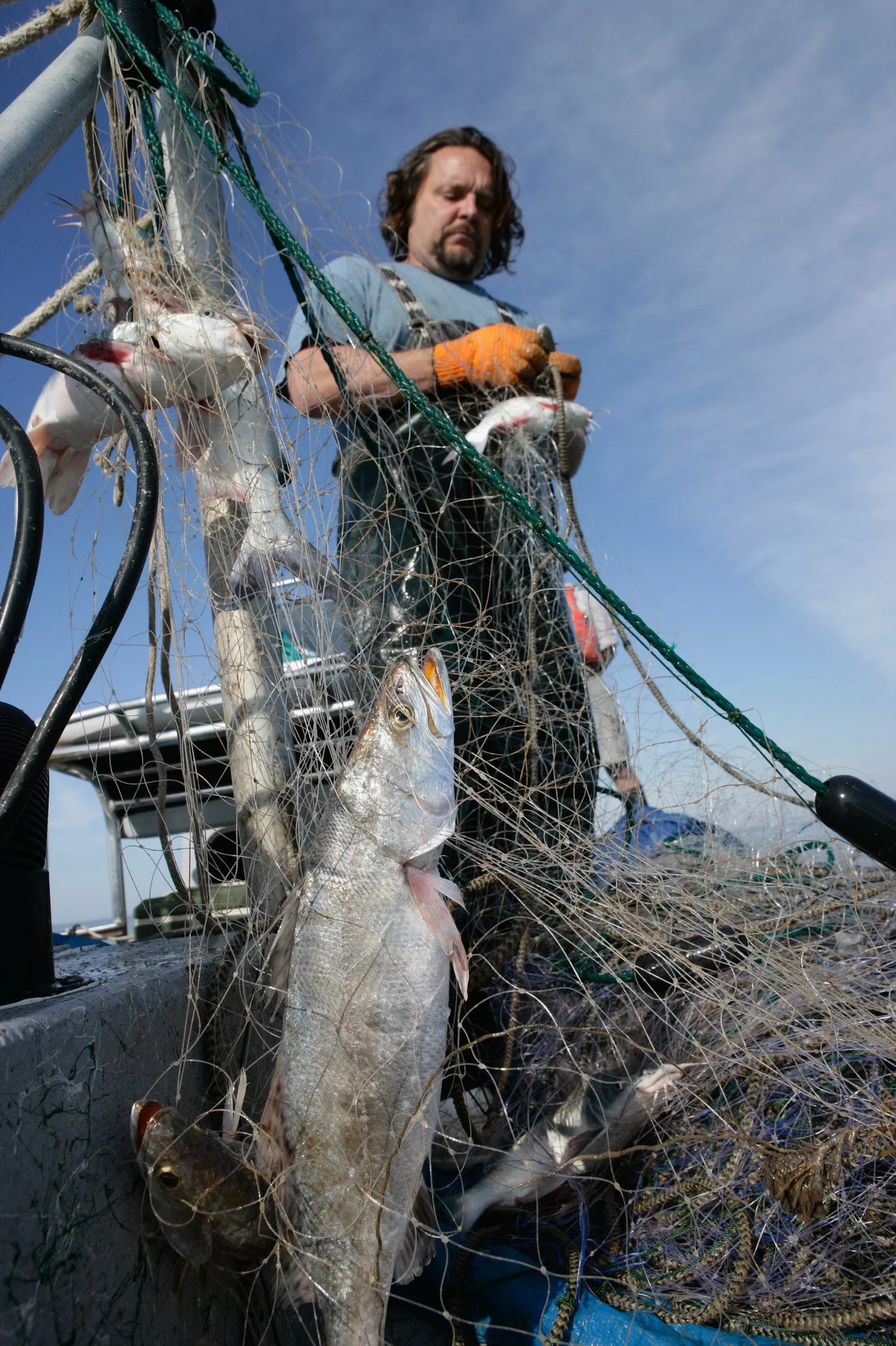 Marine biologist Bill Balboa
