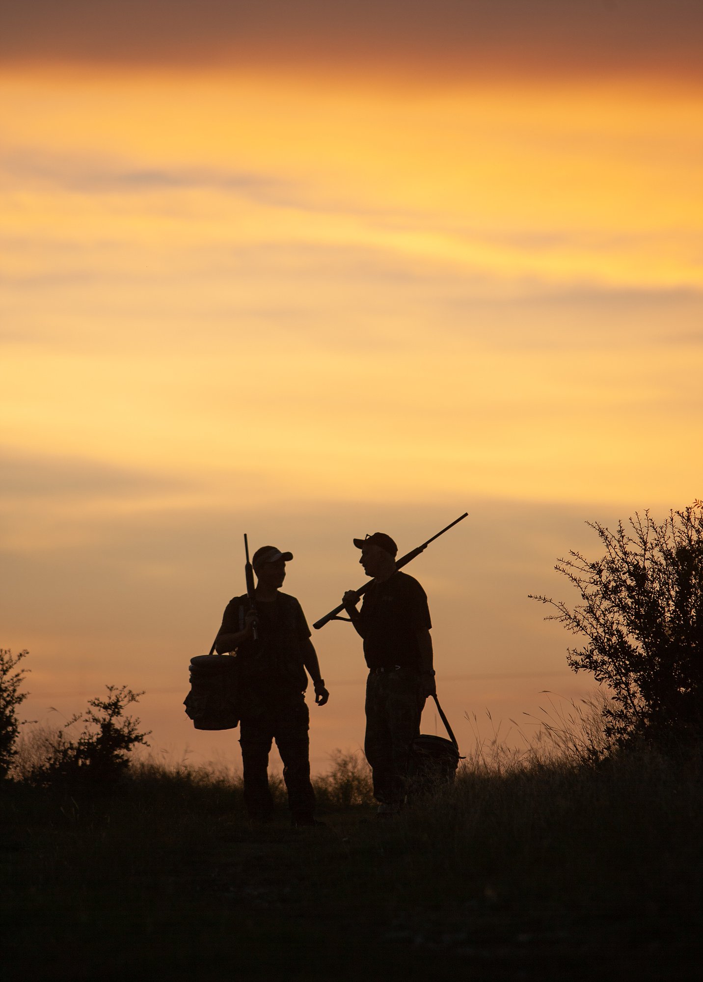 Opening day of dove season