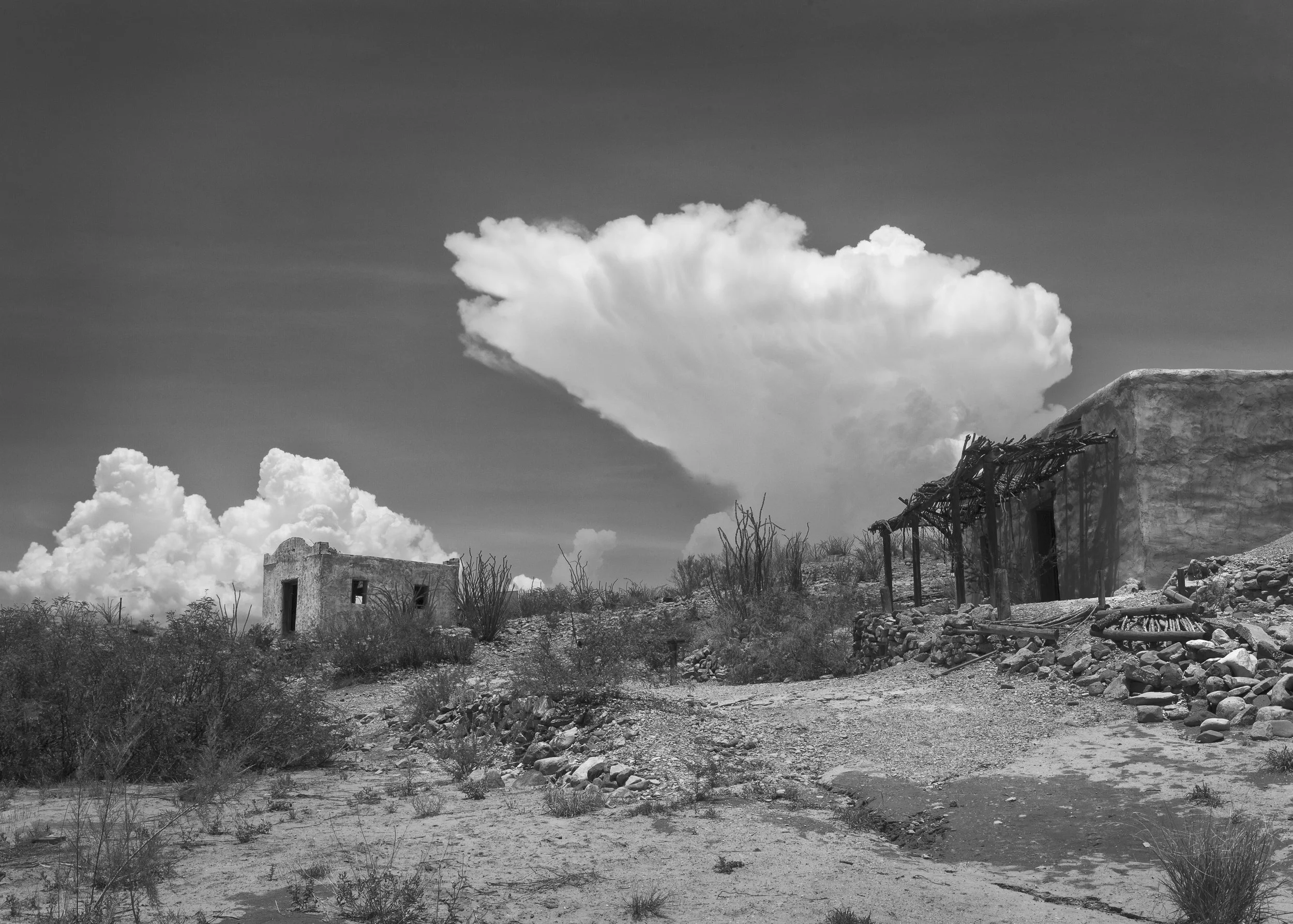Desert Skies
