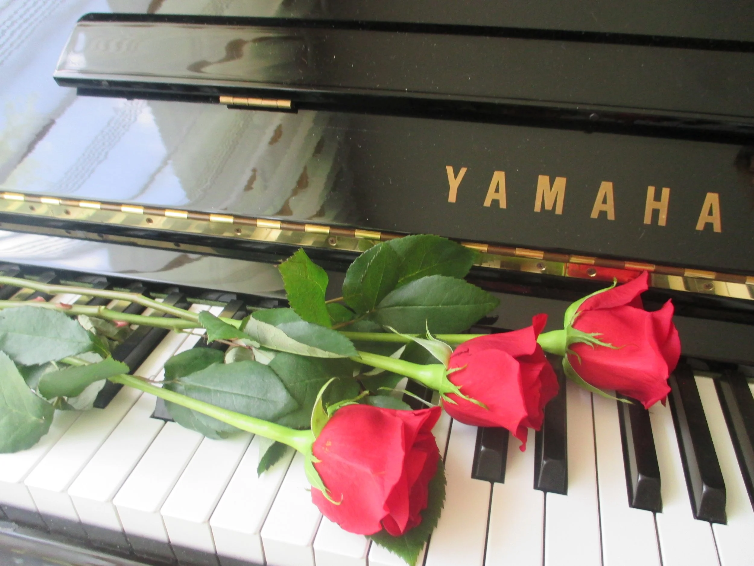 Abot page - piano and 3 roses.JPG