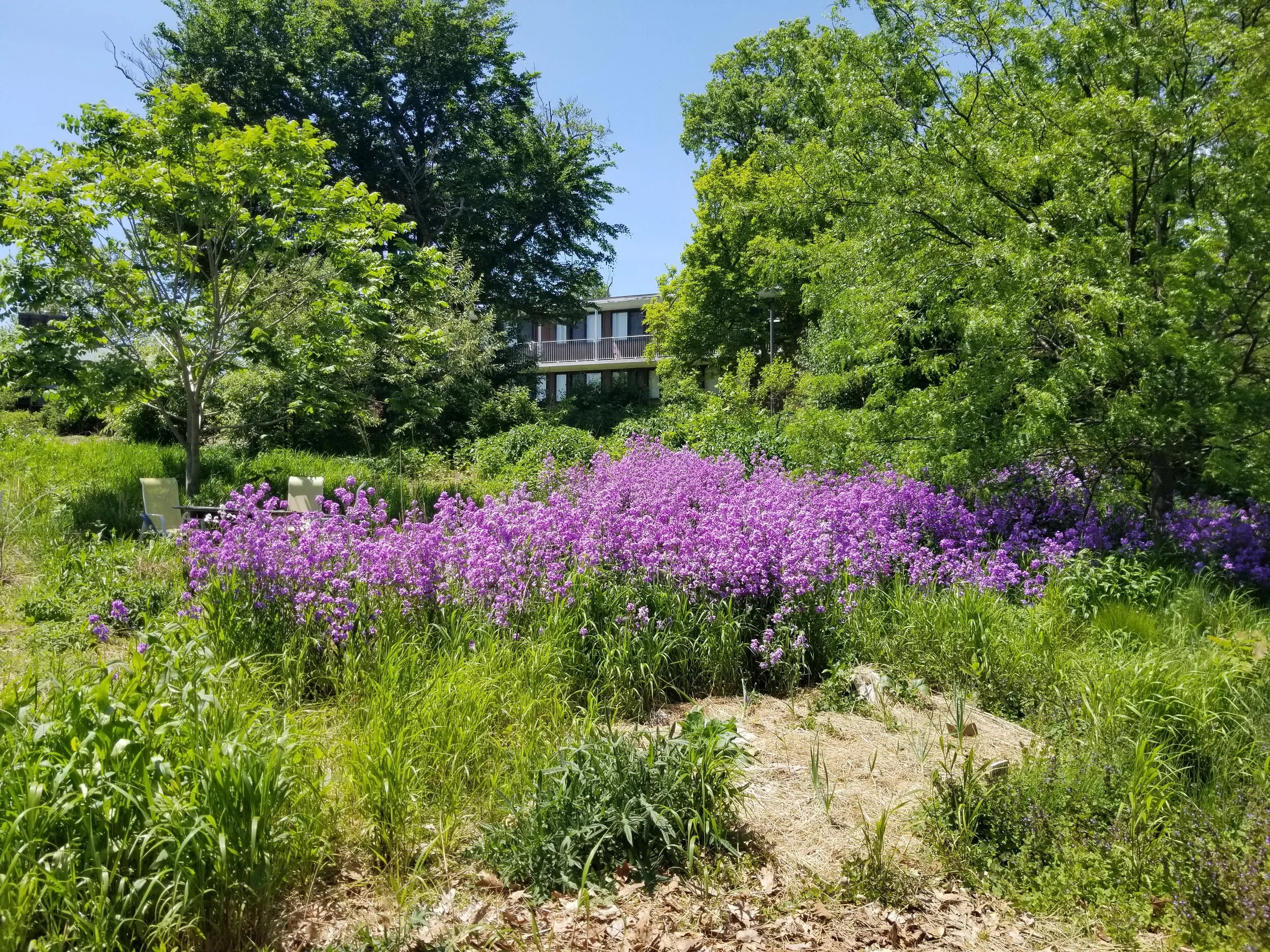 20190525_132055.jpg