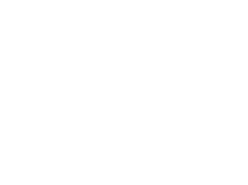 O'Riley's Irish Pub logo