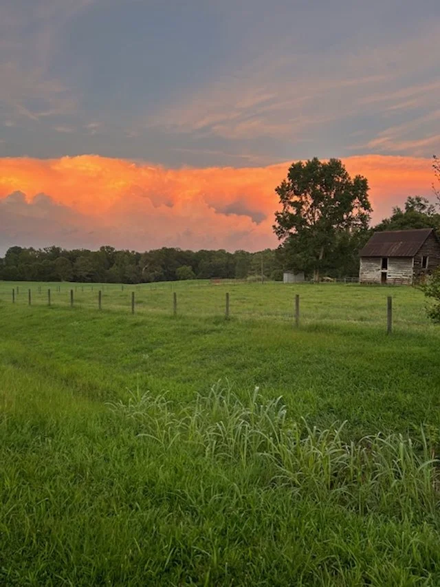 Farm sunset.jpg