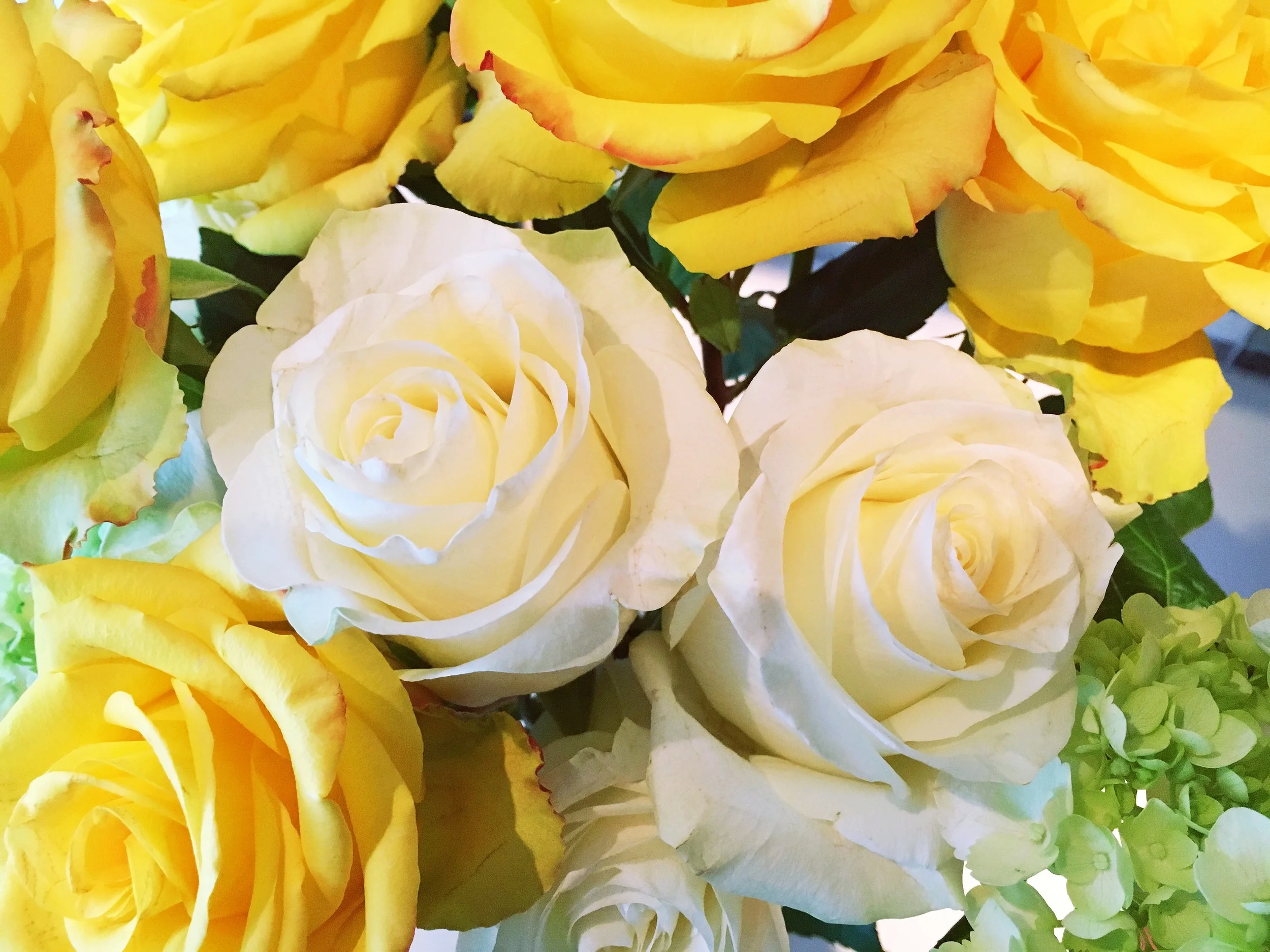 One Year Down, A Million To Go