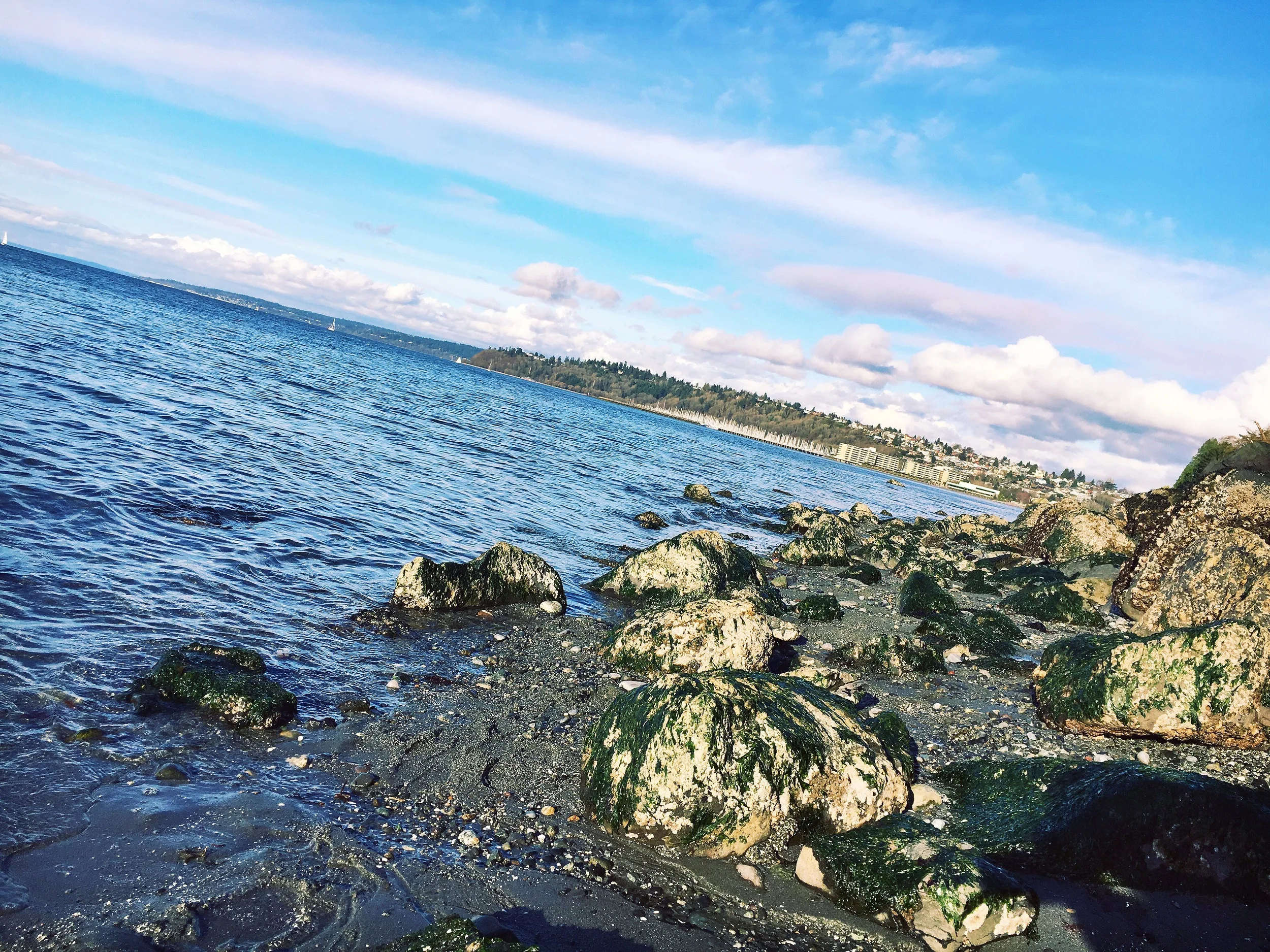 Discovering Discovery Park