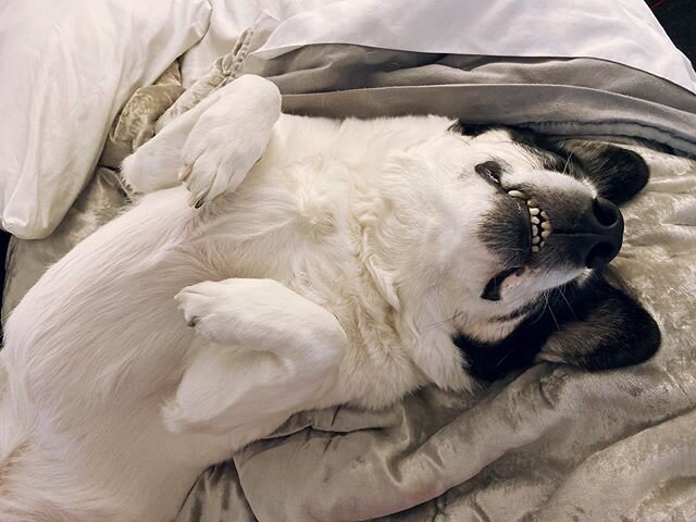Quarantine mood 💤🤪