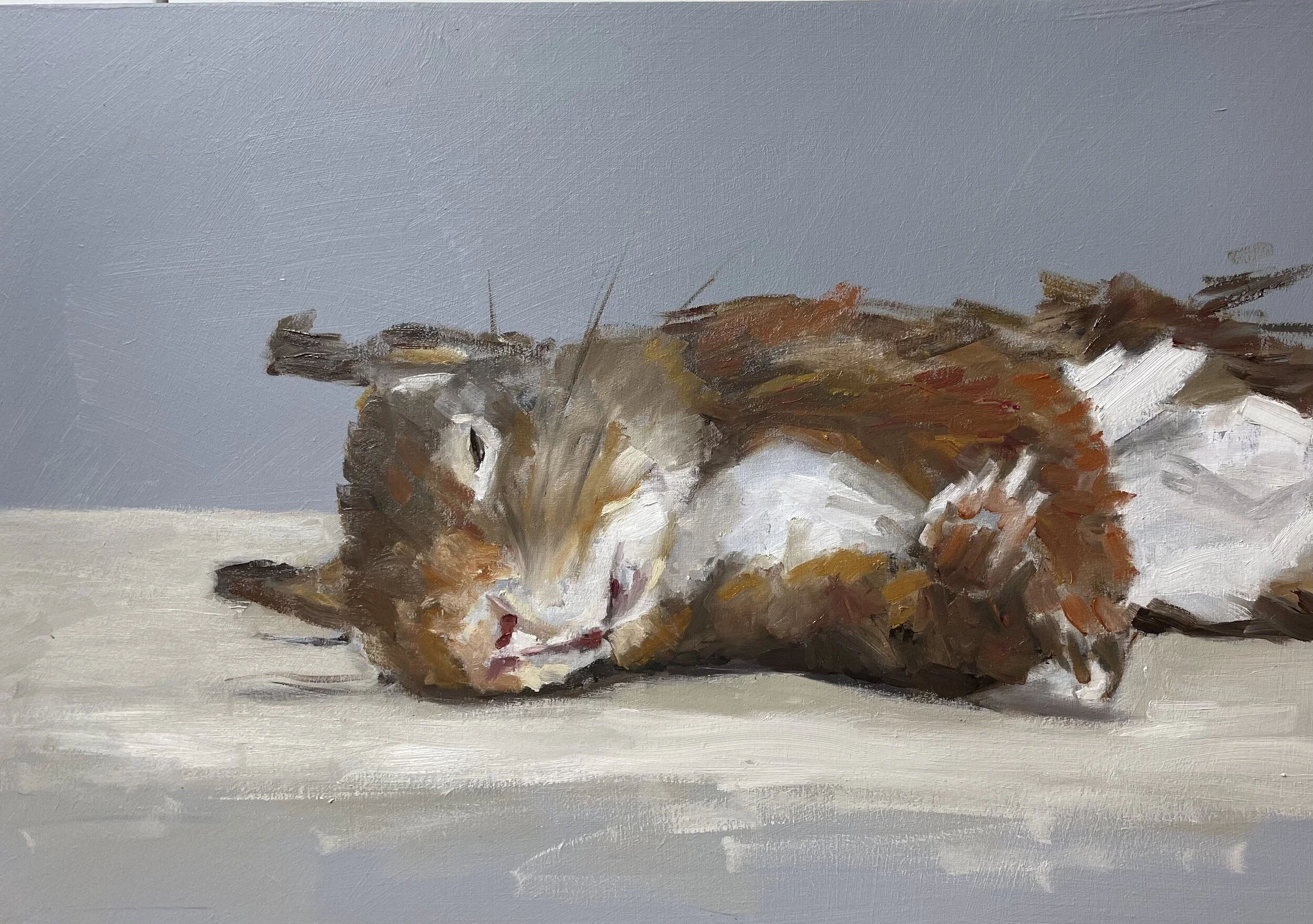 The dead Squirrel