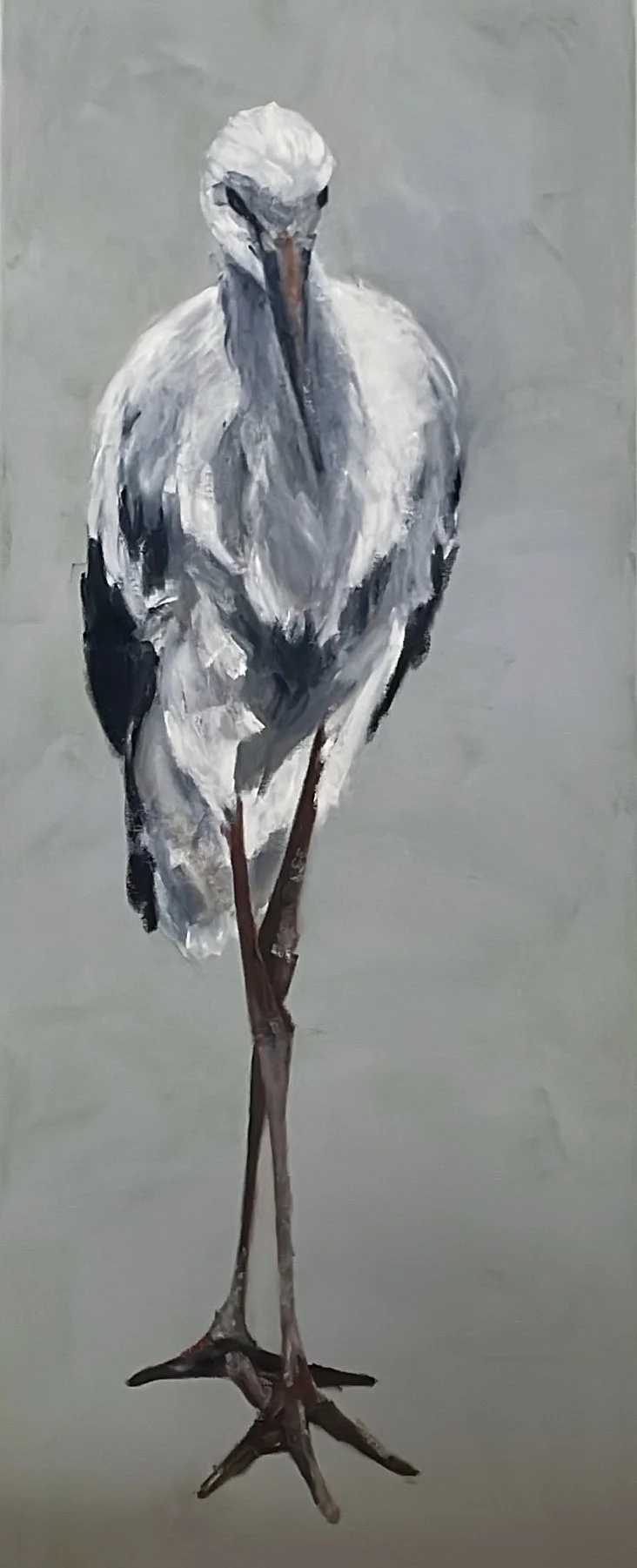 a young stork
