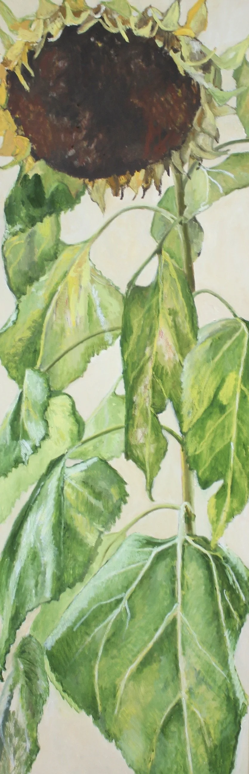  Sunflower  oil and oilpastels on canvas  50 × 150 cm 