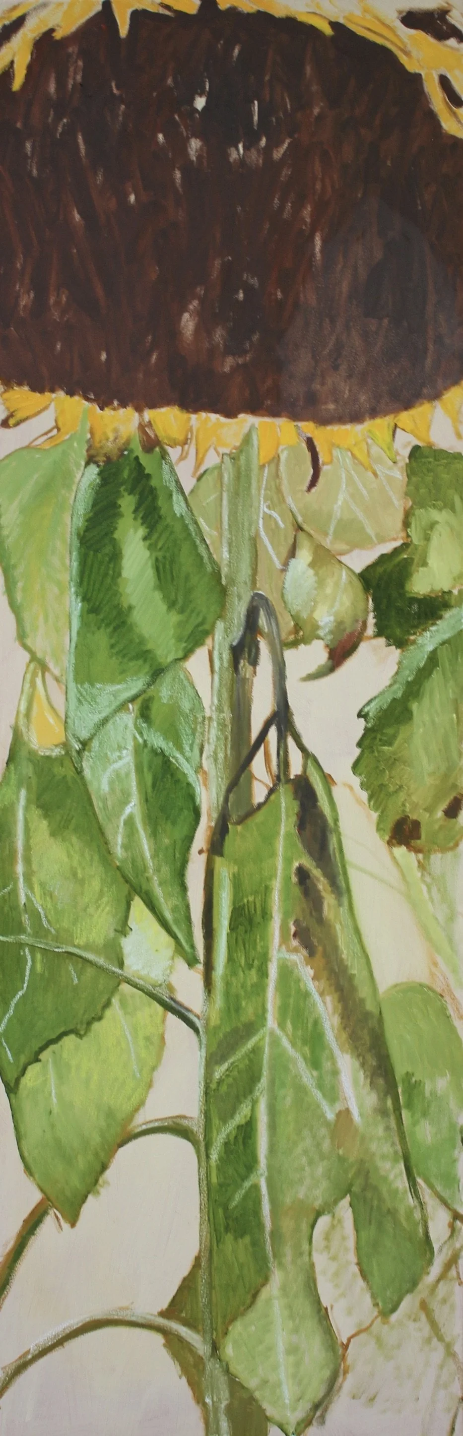  Sunflower  Oil and oilpastels on canvas  50 × 150 cm 