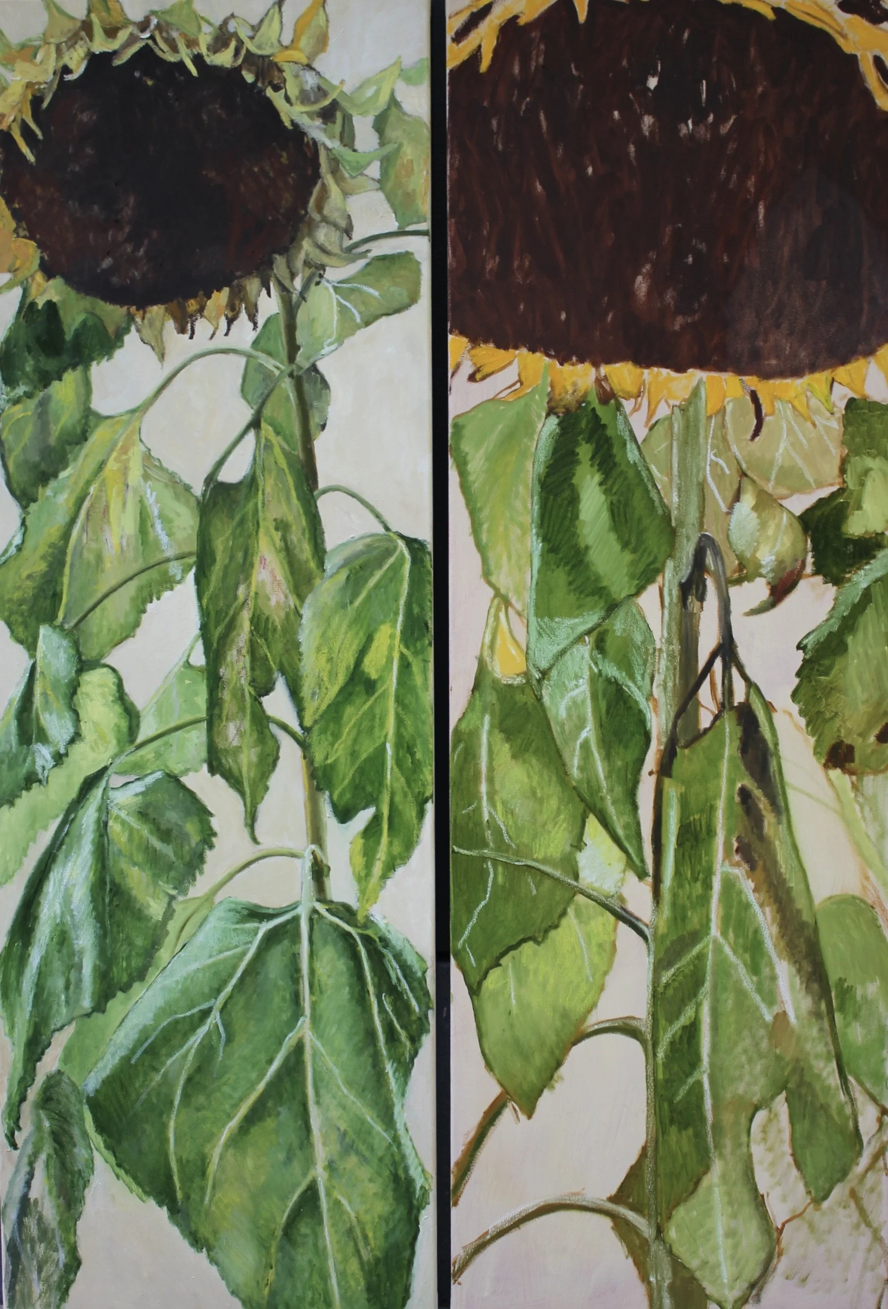 Two sunflowers   oil and oil pastels on canvas  2 × 50 × 150 