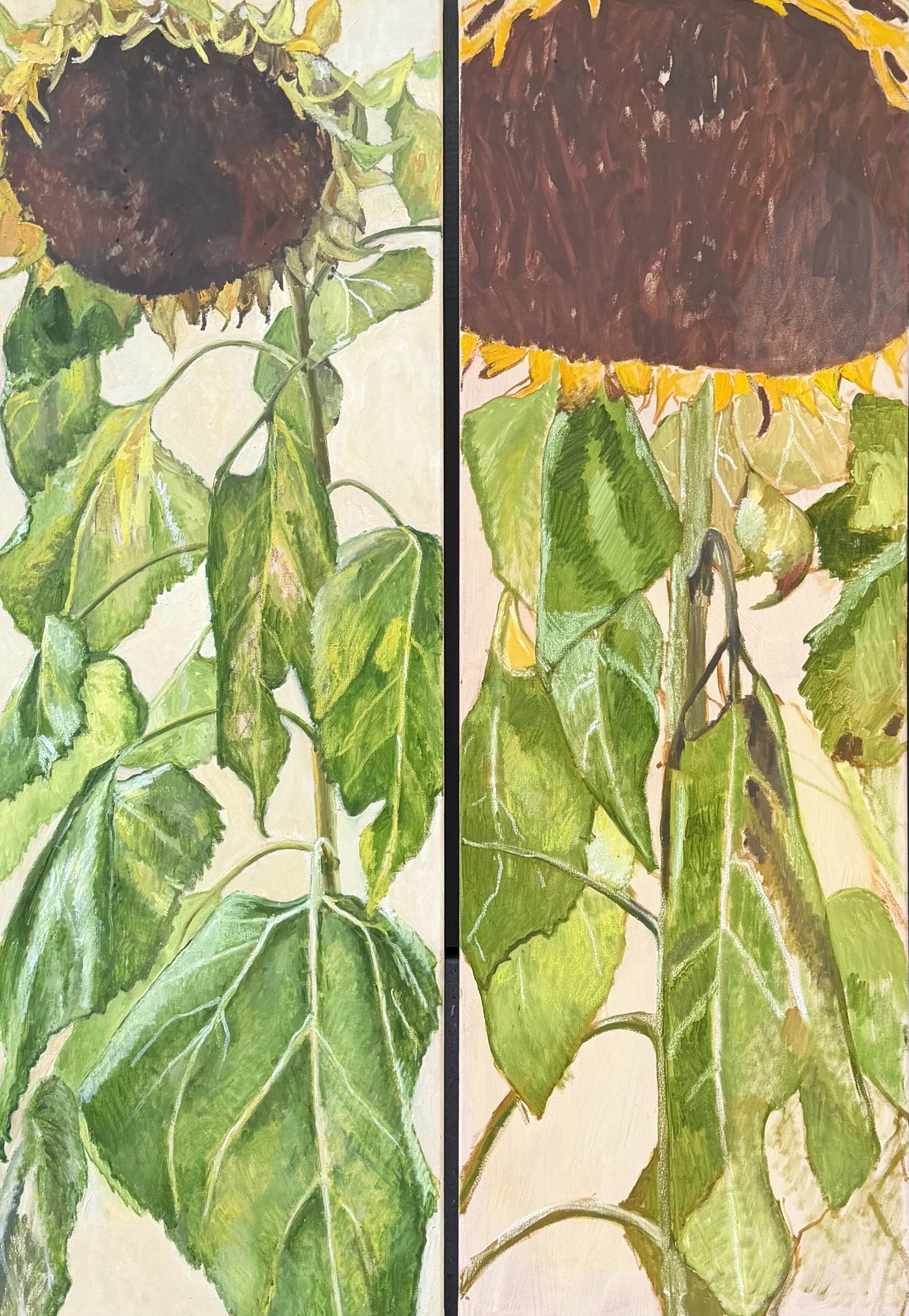  Two Sunflowers  Oil and oil pastel on canvas  2× 50 × 150 cm   