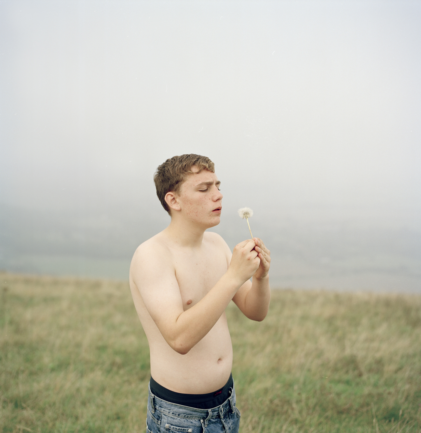 Boy with Dandelion - Laura Panack