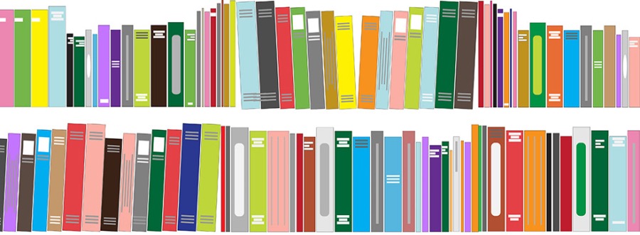 Two rows of multicolored books