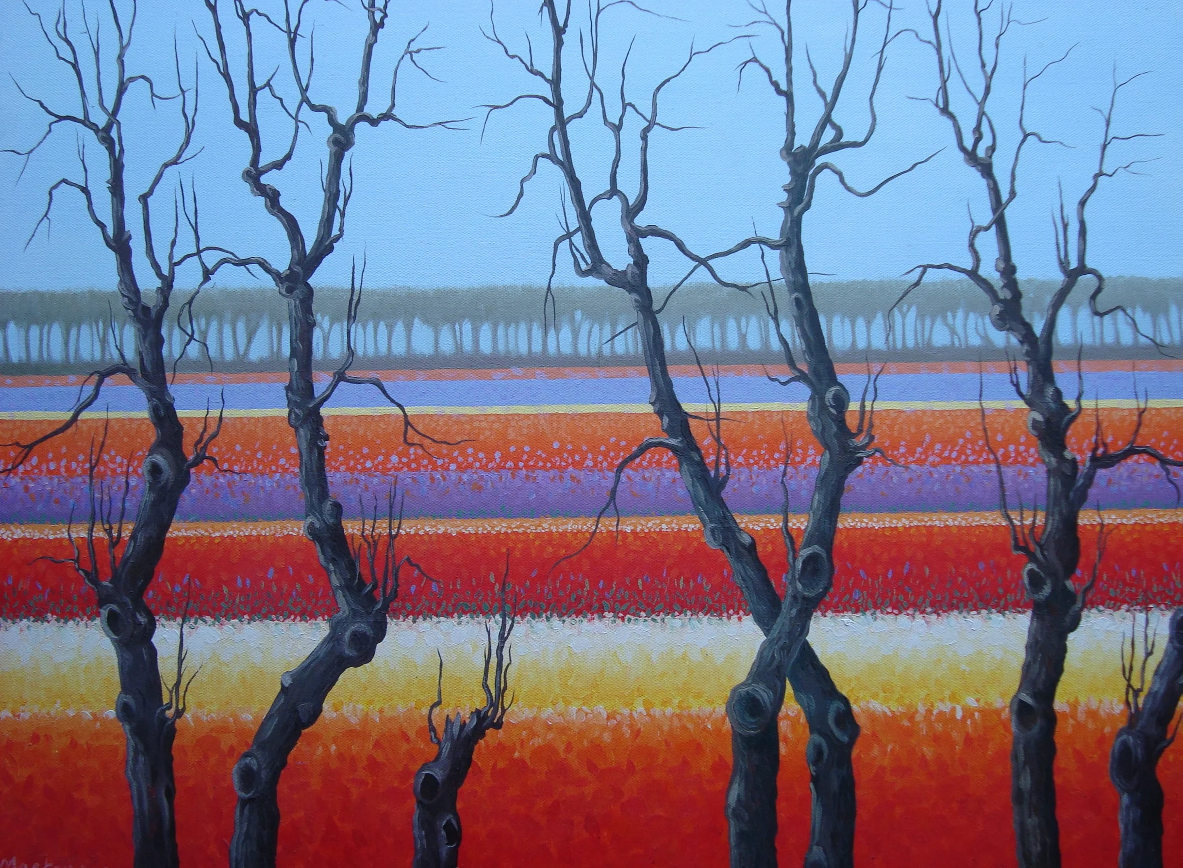 DUTCH BULB FIELDS