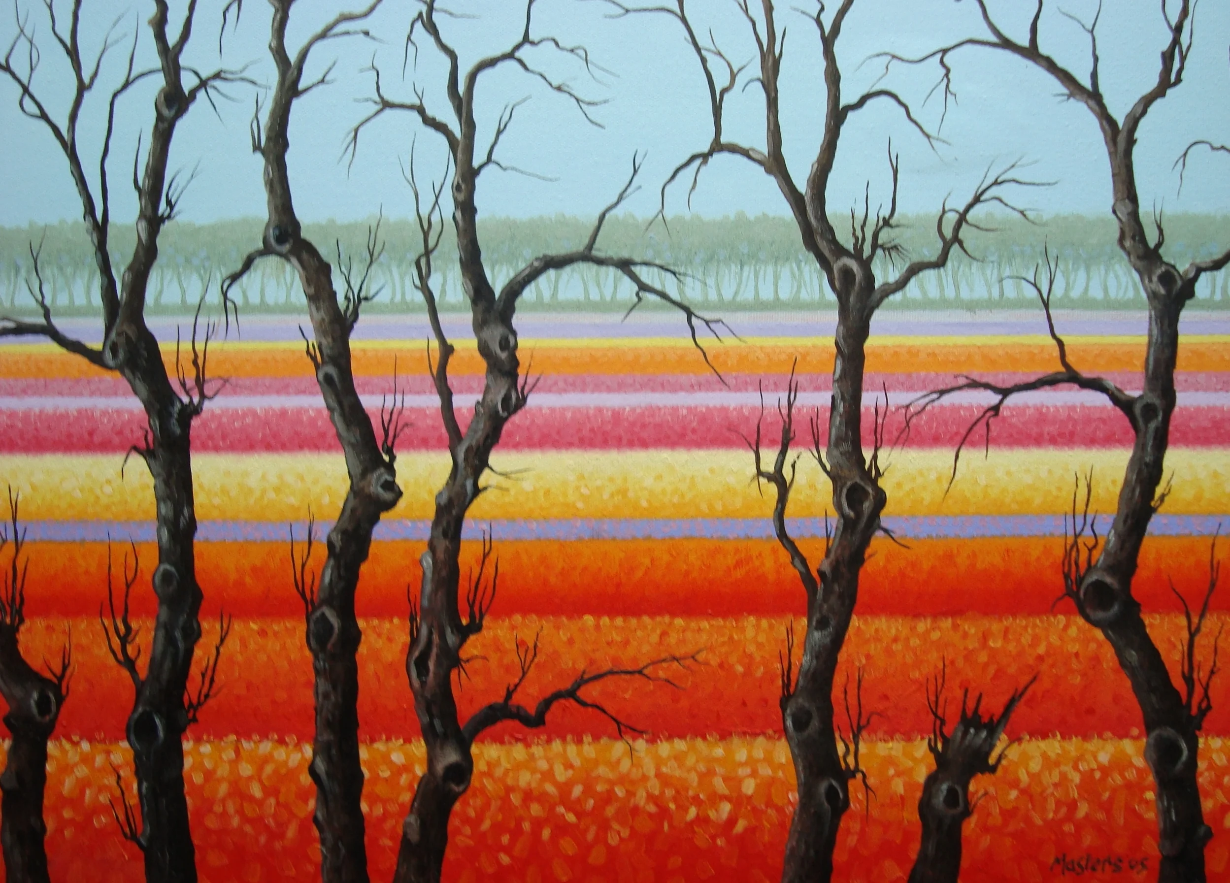 DUTCH BULB FIELD