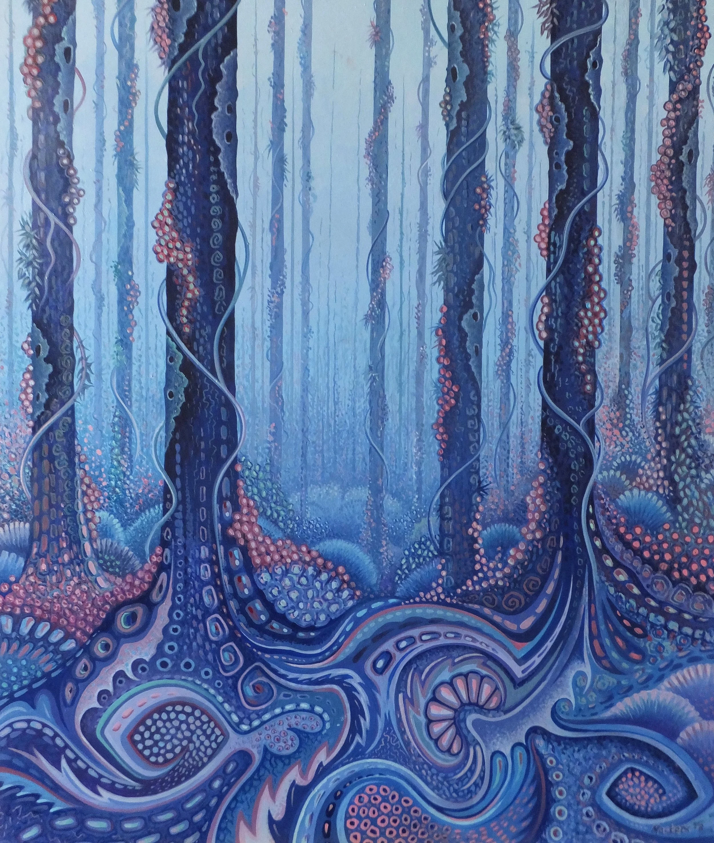 Forest Floor -winter