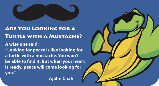TPeace- MustacheStory-graphic.jpg