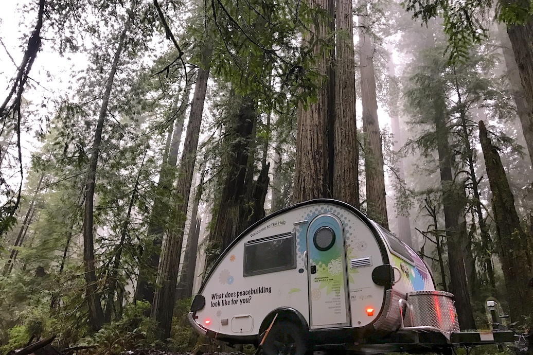 hub-bigtrees.jpg
