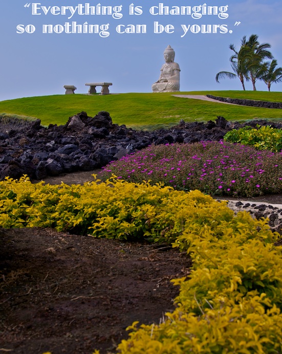 Buddha Point Collection 15.jpg