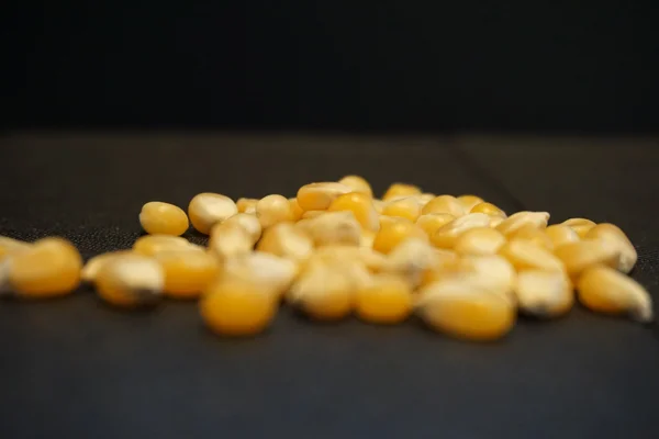 Frø - en levende tidskapsel gjennom generasjoner