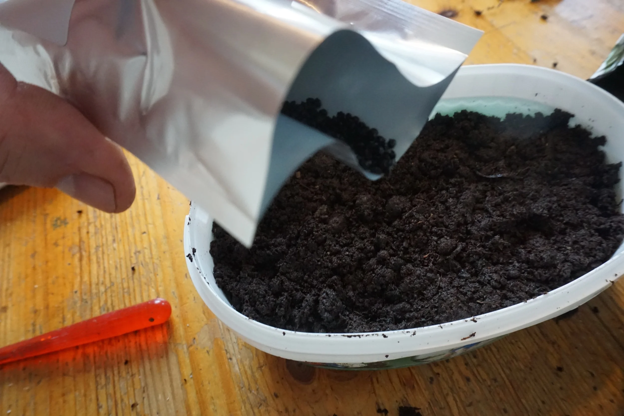 15 februar - og tid for å så purre